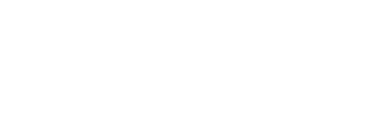 白鳥の魅力が詰まった コース料理